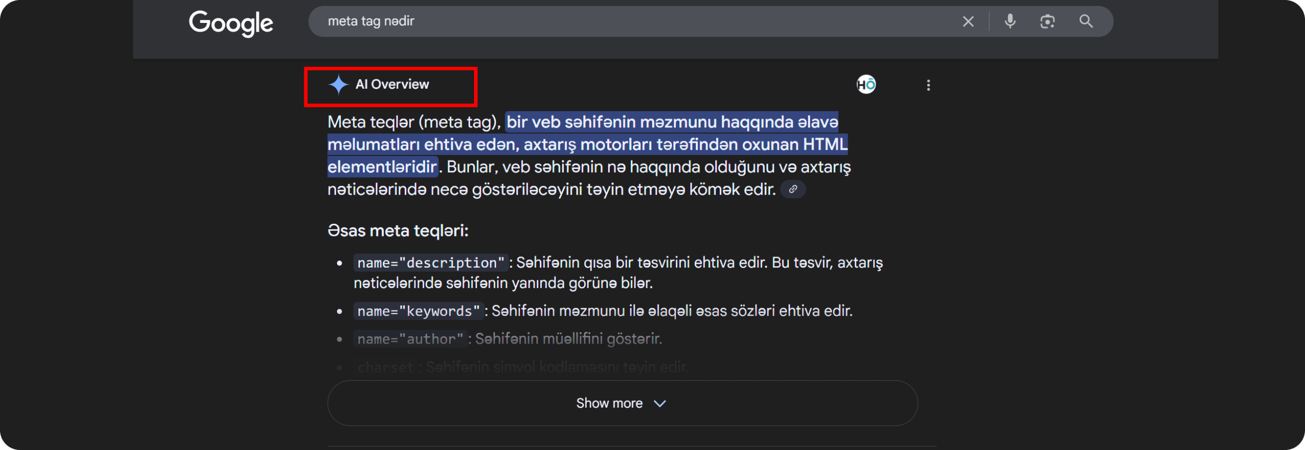 SERP-də Süni intellekt icmalı