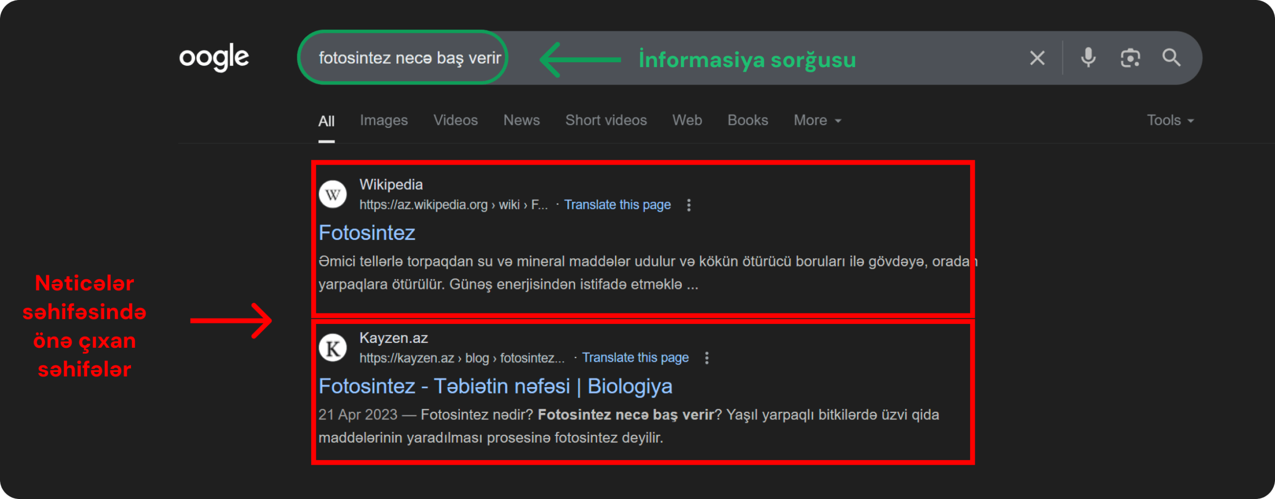 Axtarış nəticələri səhifəsində informasiya sorğusu üçün nəticə