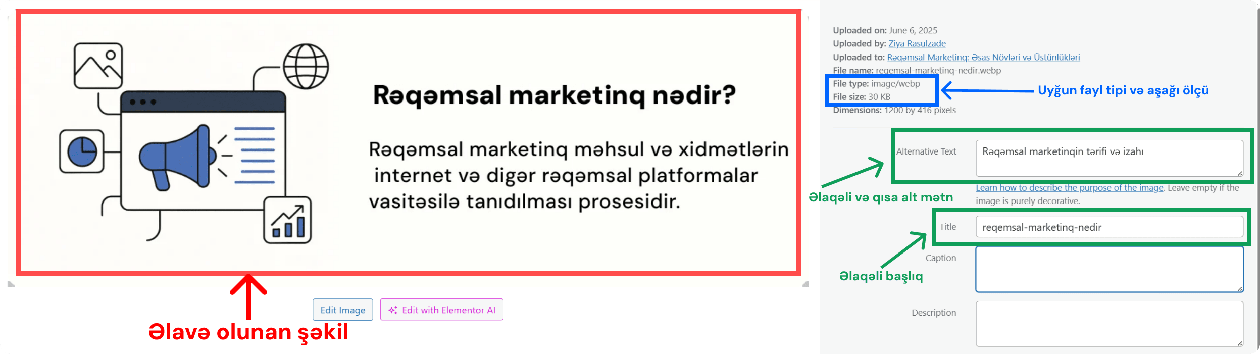 Alt text nədir?