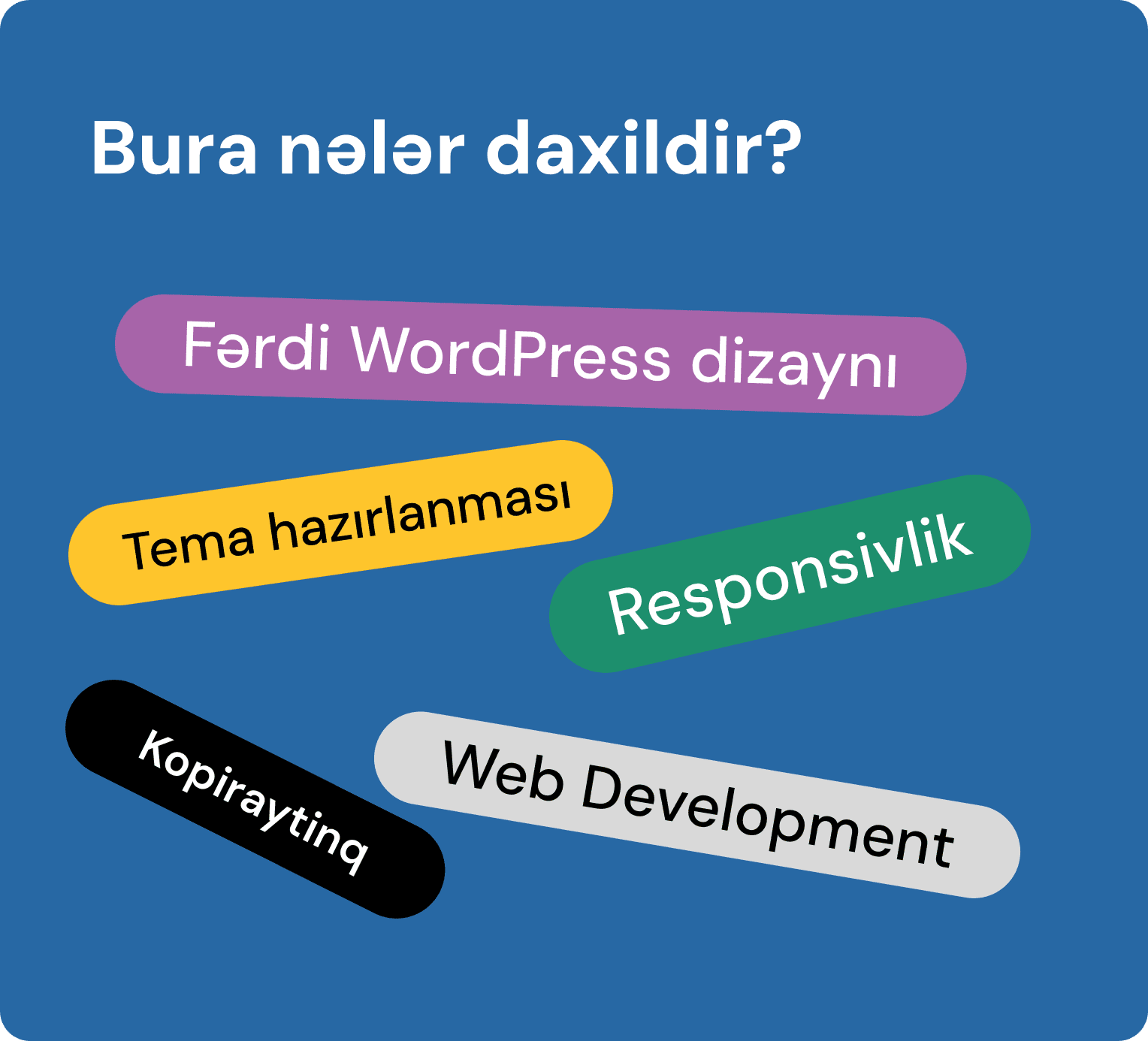 Wordpress Development Xidmətinə daxil olan alt xidmətlər